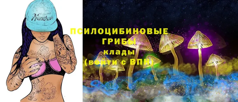 Галлюциногенные грибы MAGIC MUSHROOMS  где продают   Верхняя Тура 